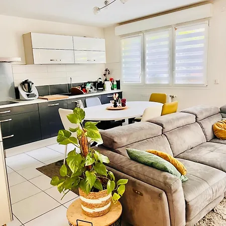 Spacious With Terrace And Garden Annecy